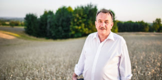 Małopolskie wsie zachwycają… także w miastach