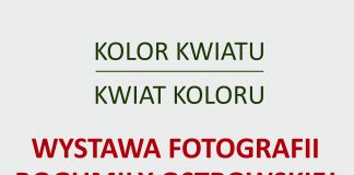 „Kolor kwiatu, kwiat koloru” – wystawa fotografii Bogumiły Ostrowskiej w gołczańskiej bibliotece
