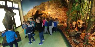 Warsztaty wielkanocne i wycieczka do Nadleśnictwa Wesołych Maluchów Wesołe Maluchy w Nadleśnictwie Miechów