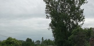 Zły sposób działalności rolniczej jedną z przyczyn zamulania dróg, rowów i przepustów Fragment drogi powiatowej w gminie Słaboszów