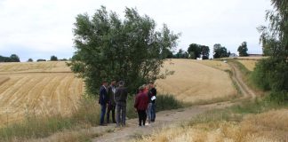 Zadania drogowe w gminie Miechów