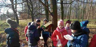 Dokarmianie ptaków w Antolce