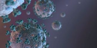 Trudna sytuacja „covidowa” w miechowskim szpitalu. Powiat miechowski jednym z lepiej wyszczepionych w Małopolsce