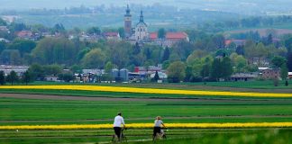 Trasa rowerowa szlakiem wąskotorówki