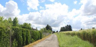 Modernizacje dróg dojazdowych do pól w Gminie Miechów