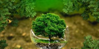 Bezpieczeństwo dla ludzi i dla środowiska. Poznaj technologię LED z najmocniejszej strony