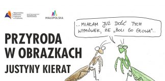 Biblioteka Publiczna w Gołczy zaprasza na wystawę rysunków Justyny Kierat.