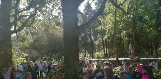 Święto Drzewa uczniów z Książa Wielkiego