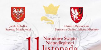 Święto Niepodległości 2020 w zmienionej formie