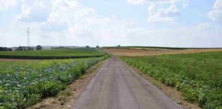 Nowe drogi dojazdowe do pól gotowe przed żniwami
