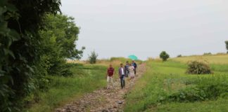 Modernizacja drogi dojazdowej do pól w Biskupicach