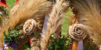 Dożynki Powiatu Miechowskiego 2021