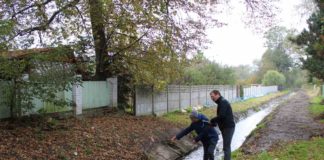 Przebudowa wylotów kanalizacji deszczowej do rzeki Miechówka