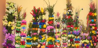 Najstrojniejsze Palmy w Gołczy