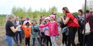 Miechowianie posadzili las dębowy