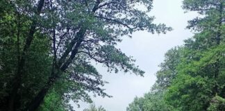 Wakacyjny spływ kajakowy z charsznickim GOK-iem