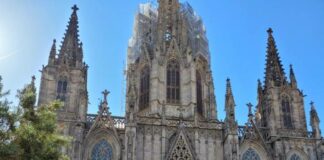 Projekt Vertical Gardens