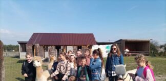 Uczniowie z Kozłowa z wizytą u alpak