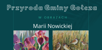 Przyroda Gminy Gołcza w obrazach Marii Nowickiej