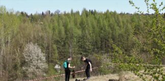Miechowianie posadzili 1000 drzew