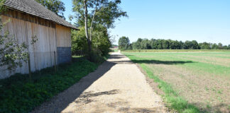 Nowe drogi dojazdowe do pól w Gminie Gołcza