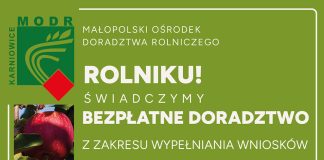 Dopłaty bezpośrednie i obszarowe w 2024 roku