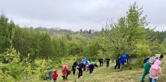 Kolejna odsłona akcji SadziMY las w Miechowie
