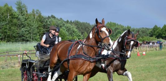 Zwycięzcy z Racławic