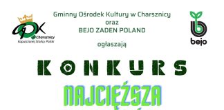 Konkurs Najcięższa Polska Główka Kapusty 2024