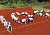 „100 metrów na 100- lecie szkoły”